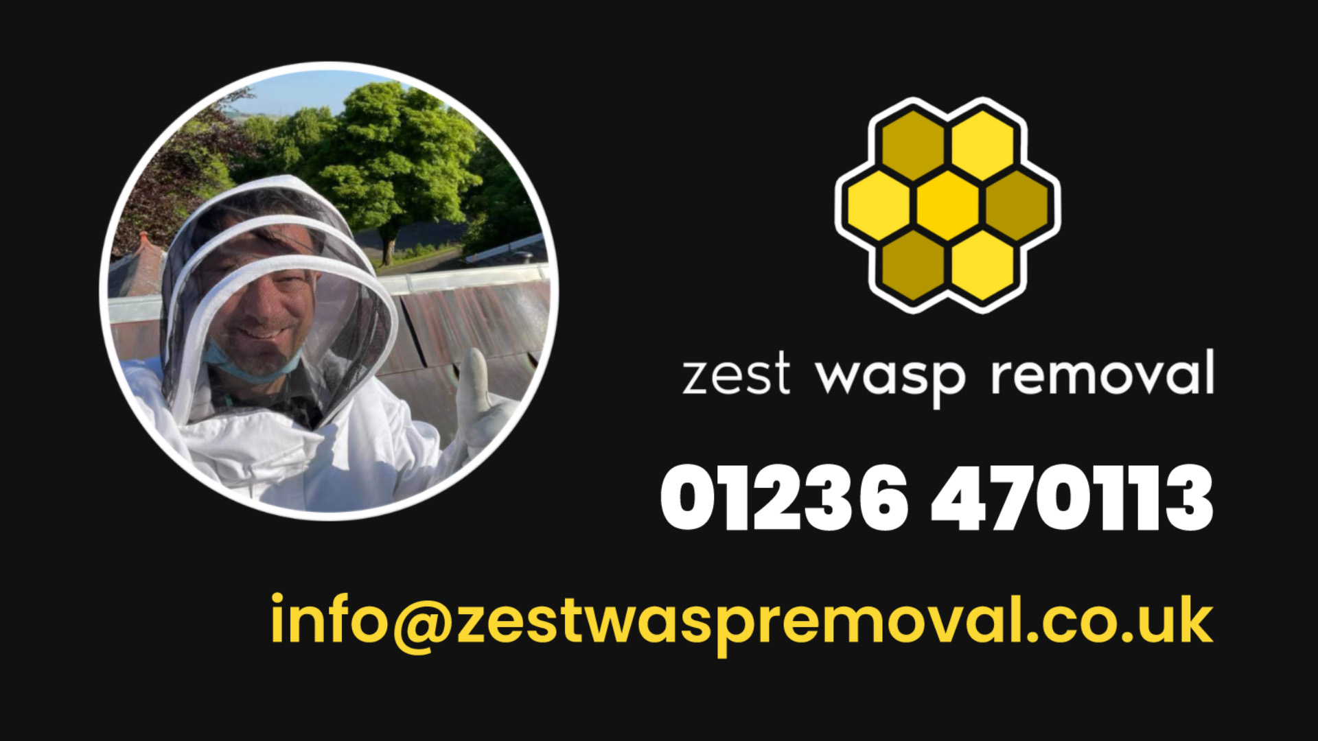 zest wasp removal scotland logo contact details